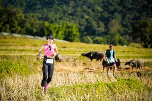 BIB: 
                            <button type="button" onclick="openModal(19127718)" class="btn btn-primary btn-sm float-right btn-popup" data-toggle="modal" data-target=".modal-high-quality">
                        <i class="fas fa-shopping-cart"></i> Add to Cart
                    </button>
                                            <button type="button" onclick="isThisMe(19127718, true)" class="btn btn-success btn-sm float-right btn-popup btn-isme hidden" data-toggle="tooltip" data-placement="bottom" title="นี่คือรูปของคุณใช่ไหม คลิกที่นี่เพื่อเอาเข้าอัลบั้ม">
                        <i class="fas fa-plus"></i> Add to album
                    </button>
                    <button type="button" onclick="isThisMe(19127718, false)" class="btn btn-warning btn-sm float-right btn-popup btn-isnotme hidden">
                        <i class="fas fa-ban"></i> Remove from album
                    </button>