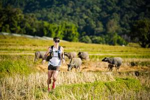 BIB: 
                            <button type="button" onclick="openModal(19127472)" class="btn btn-primary btn-sm float-right btn-popup" data-toggle="modal" data-target=".modal-high-quality">
                        <i class="fas fa-shopping-cart"></i> Add to Cart
                    </button>
                                            <button type="button" onclick="isThisMe(19127472, true)" class="btn btn-success btn-sm float-right btn-popup btn-isme hidden" data-toggle="tooltip" data-placement="bottom" title="นี่คือรูปของคุณใช่ไหม คลิกที่นี่เพื่อเอาเข้าอัลบั้ม">
                        <i class="fas fa-plus"></i> Add to album
                    </button>
                    <button type="button" onclick="isThisMe(19127472, false)" class="btn btn-warning btn-sm float-right btn-popup btn-isnotme hidden">
                        <i class="fas fa-ban"></i> Remove from album
                    </button>