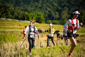 BIB: 
                            <button type="button" onclick="openModal(19128168)" class="btn btn-primary btn-sm float-right btn-popup" data-toggle="modal" data-target=".modal-high-quality">
                        <i class="fas fa-shopping-cart"></i> Add to Cart
                    </button>
                                            <button type="button" onclick="isThisMe(19128168, true)" class="btn btn-success btn-sm float-right btn-popup btn-isme hidden" data-toggle="tooltip" data-placement="bottom" title="นี่คือรูปของคุณใช่ไหม คลิกที่นี่เพื่อเอาเข้าอัลบั้ม">
                        <i class="fas fa-plus"></i> Add to album
                    </button>
                    <button type="button" onclick="isThisMe(19128168, false)" class="btn btn-warning btn-sm float-right btn-popup btn-isnotme hidden">
                        <i class="fas fa-ban"></i> Remove from album
                    </button>