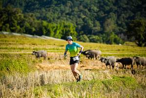 BIB: 
                            <button type="button" onclick="openModal(19127566)" class="btn btn-primary btn-sm float-right btn-popup" data-toggle="modal" data-target=".modal-high-quality">
                        <i class="fas fa-shopping-cart"></i> Add to Cart
                    </button>
                                            <button type="button" onclick="isThisMe(19127566, true)" class="btn btn-success btn-sm float-right btn-popup btn-isme hidden" data-toggle="tooltip" data-placement="bottom" title="นี่คือรูปของคุณใช่ไหม คลิกที่นี่เพื่อเอาเข้าอัลบั้ม">
                        <i class="fas fa-plus"></i> Add to album
                    </button>
                    <button type="button" onclick="isThisMe(19127566, false)" class="btn btn-warning btn-sm float-right btn-popup btn-isnotme hidden">
                        <i class="fas fa-ban"></i> Remove from album
                    </button>