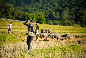 BIB: 
                            <button type="button" onclick="openModal(19127979)" class="btn btn-primary btn-sm float-right btn-popup" data-toggle="modal" data-target=".modal-high-quality">
                        <i class="fas fa-shopping-cart"></i> Add to Cart
                    </button>
                                            <button type="button" onclick="isThisMe(19127979, true)" class="btn btn-success btn-sm float-right btn-popup btn-isme hidden" data-toggle="tooltip" data-placement="bottom" title="นี่คือรูปของคุณใช่ไหม คลิกที่นี่เพื่อเอาเข้าอัลบั้ม">
                        <i class="fas fa-plus"></i> Add to album
                    </button>
                    <button type="button" onclick="isThisMe(19127979, false)" class="btn btn-warning btn-sm float-right btn-popup btn-isnotme hidden">
                        <i class="fas fa-ban"></i> Remove from album
                    </button>