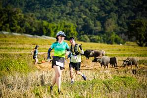 BIB: 
                            <button type="button" onclick="openModal(19127793)" class="btn btn-primary btn-sm float-right btn-popup" data-toggle="modal" data-target=".modal-high-quality">
                        <i class="fas fa-shopping-cart"></i> Add to Cart
                    </button>
                                            <button type="button" onclick="isThisMe(19127793, true)" class="btn btn-success btn-sm float-right btn-popup btn-isme hidden" data-toggle="tooltip" data-placement="bottom" title="นี่คือรูปของคุณใช่ไหม คลิกที่นี่เพื่อเอาเข้าอัลบั้ม">
                        <i class="fas fa-plus"></i> Add to album
                    </button>
                    <button type="button" onclick="isThisMe(19127793, false)" class="btn btn-warning btn-sm float-right btn-popup btn-isnotme hidden">
                        <i class="fas fa-ban"></i> Remove from album
                    </button>