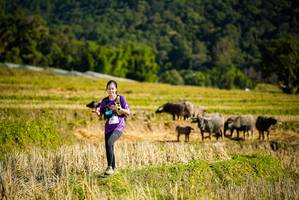 BIB: 
                            <button type="button" onclick="openModal(19128221)" class="btn btn-primary btn-sm float-right btn-popup" data-toggle="modal" data-target=".modal-high-quality">
                        <i class="fas fa-shopping-cart"></i> Add to Cart
                    </button>
                                            <button type="button" onclick="isThisMe(19128221, true)" class="btn btn-success btn-sm float-right btn-popup btn-isme hidden" data-toggle="tooltip" data-placement="bottom" title="นี่คือรูปของคุณใช่ไหม คลิกที่นี่เพื่อเอาเข้าอัลบั้ม">
                        <i class="fas fa-plus"></i> Add to album
                    </button>
                    <button type="button" onclick="isThisMe(19128221, false)" class="btn btn-warning btn-sm float-right btn-popup btn-isnotme hidden">
                        <i class="fas fa-ban"></i> Remove from album
                    </button>