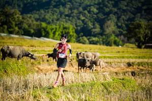 BIB: 
                            <button type="button" onclick="openModal(19127378)" class="btn btn-primary btn-sm float-right btn-popup" data-toggle="modal" data-target=".modal-high-quality">
                        <i class="fas fa-shopping-cart"></i> Add to Cart
                    </button>
                                            <button type="button" onclick="isThisMe(19127378, true)" class="btn btn-success btn-sm float-right btn-popup btn-isme hidden" data-toggle="tooltip" data-placement="bottom" title="นี่คือรูปของคุณใช่ไหม คลิกที่นี่เพื่อเอาเข้าอัลบั้ม">
                        <i class="fas fa-plus"></i> Add to album
                    </button>
                    <button type="button" onclick="isThisMe(19127378, false)" class="btn btn-warning btn-sm float-right btn-popup btn-isnotme hidden">
                        <i class="fas fa-ban"></i> Remove from album
                    </button>