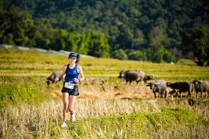 BIB: 1547
                            <button type="button" onclick="openModal(19127618)" class="btn btn-primary btn-sm float-right btn-popup" data-toggle="modal" data-target=".modal-high-quality">
                        <i class="fas fa-shopping-cart"></i> Add to Cart
                    </button>
                                            <button type="button" onclick="isThisMe(19127618, true)" class="btn btn-success btn-sm float-right btn-popup btn-isme hidden" data-toggle="tooltip" data-placement="bottom" title="นี่คือรูปของคุณใช่ไหม คลิกที่นี่เพื่อเอาเข้าอัลบั้ม">
                        <i class="fas fa-plus"></i> Add to album
                    </button>
                    <button type="button" onclick="isThisMe(19127618, false)" class="btn btn-warning btn-sm float-right btn-popup btn-isnotme hidden">
                        <i class="fas fa-ban"></i> Remove from album
                    </button>