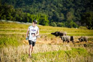 BIB: 1348
                            <button type="button" onclick="openModal(19127753)" class="btn btn-primary btn-sm float-right btn-popup" data-toggle="modal" data-target=".modal-high-quality">
                        <i class="fas fa-shopping-cart"></i> Add to Cart
                    </button>
                                            <button type="button" onclick="isThisMe(19127753, true)" class="btn btn-success btn-sm float-right btn-popup btn-isme hidden" data-toggle="tooltip" data-placement="bottom" title="นี่คือรูปของคุณใช่ไหม คลิกที่นี่เพื่อเอาเข้าอัลบั้ม">
                        <i class="fas fa-plus"></i> Add to album
                    </button>
                    <button type="button" onclick="isThisMe(19127753, false)" class="btn btn-warning btn-sm float-right btn-popup btn-isnotme hidden">
                        <i class="fas fa-ban"></i> Remove from album
                    </button>