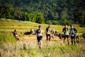 BIB: 
                            <button type="button" onclick="openModal(19127886)" class="btn btn-primary btn-sm float-right btn-popup" data-toggle="modal" data-target=".modal-high-quality">
                        <i class="fas fa-shopping-cart"></i> Add to Cart
                    </button>
                                            <button type="button" onclick="isThisMe(19127886, true)" class="btn btn-success btn-sm float-right btn-popup btn-isme hidden" data-toggle="tooltip" data-placement="bottom" title="นี่คือรูปของคุณใช่ไหม คลิกที่นี่เพื่อเอาเข้าอัลบั้ม">
                        <i class="fas fa-plus"></i> Add to album
                    </button>
                    <button type="button" onclick="isThisMe(19127886, false)" class="btn btn-warning btn-sm float-right btn-popup btn-isnotme hidden">
                        <i class="fas fa-ban"></i> Remove from album
                    </button>