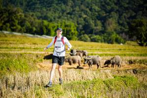 BIB: 1201
                            <button type="button" onclick="openModal(19127999)" class="btn btn-primary btn-sm float-right btn-popup" data-toggle="modal" data-target=".modal-high-quality">
                        <i class="fas fa-shopping-cart"></i> Add to Cart
                    </button>
                                            <button type="button" onclick="isThisMe(19127999, true)" class="btn btn-success btn-sm float-right btn-popup btn-isme hidden" data-toggle="tooltip" data-placement="bottom" title="นี่คือรูปของคุณใช่ไหม คลิกที่นี่เพื่อเอาเข้าอัลบั้ม">
                        <i class="fas fa-plus"></i> Add to album
                    </button>
                    <button type="button" onclick="isThisMe(19127999, false)" class="btn btn-warning btn-sm float-right btn-popup btn-isnotme hidden">
                        <i class="fas fa-ban"></i> Remove from album
                    </button>