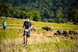 BIB: 1114, 
                            <button type="button" onclick="openModal(19127632)" class="btn btn-primary btn-sm float-right btn-popup" data-toggle="modal" data-target=".modal-high-quality">
                        <i class="fas fa-shopping-cart"></i> Add to Cart
                    </button>
                                            <button type="button" onclick="isThisMe(19127632, true)" class="btn btn-success btn-sm float-right btn-popup btn-isme hidden" data-toggle="tooltip" data-placement="bottom" title="นี่คือรูปของคุณใช่ไหม คลิกที่นี่เพื่อเอาเข้าอัลบั้ม">
                        <i class="fas fa-plus"></i> Add to album
                    </button>
                    <button type="button" onclick="isThisMe(19127632, false)" class="btn btn-warning btn-sm float-right btn-popup btn-isnotme hidden">
                        <i class="fas fa-ban"></i> Remove from album
                    </button>