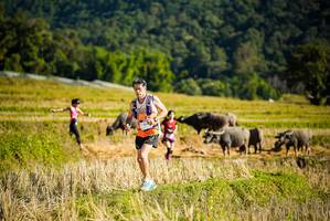 BIB: 
                            <button type="button" onclick="openModal(19127697)" class="btn btn-primary btn-sm float-right btn-popup" data-toggle="modal" data-target=".modal-high-quality">
                        <i class="fas fa-shopping-cart"></i> Add to Cart
                    </button>
                                            <button type="button" onclick="isThisMe(19127697, true)" class="btn btn-success btn-sm float-right btn-popup btn-isme hidden" data-toggle="tooltip" data-placement="bottom" title="นี่คือรูปของคุณใช่ไหม คลิกที่นี่เพื่อเอาเข้าอัลบั้ม">
                        <i class="fas fa-plus"></i> Add to album
                    </button>
                    <button type="button" onclick="isThisMe(19127697, false)" class="btn btn-warning btn-sm float-right btn-popup btn-isnotme hidden">
                        <i class="fas fa-ban"></i> Remove from album
                    </button>