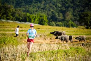 BIB: 
                            <button type="button" onclick="openModal(19127730)" class="btn btn-primary btn-sm float-right btn-popup" data-toggle="modal" data-target=".modal-high-quality">
                        <i class="fas fa-shopping-cart"></i> Add to Cart
                    </button>
                                            <button type="button" onclick="isThisMe(19127730, true)" class="btn btn-success btn-sm float-right btn-popup btn-isme hidden" data-toggle="tooltip" data-placement="bottom" title="นี่คือรูปของคุณใช่ไหม คลิกที่นี่เพื่อเอาเข้าอัลบั้ม">
                        <i class="fas fa-plus"></i> Add to album
                    </button>
                    <button type="button" onclick="isThisMe(19127730, false)" class="btn btn-warning btn-sm float-right btn-popup btn-isnotme hidden">
                        <i class="fas fa-ban"></i> Remove from album
                    </button>