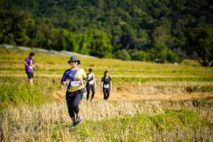 BIB: 
                            <button type="button" onclick="openModal(19129626)" class="btn btn-primary btn-sm float-right btn-popup" data-toggle="modal" data-target=".modal-high-quality">
                        <i class="fas fa-shopping-cart"></i> Add to Cart
                    </button>
                                            <button type="button" onclick="isThisMe(19129626, true)" class="btn btn-success btn-sm float-right btn-popup btn-isme hidden" data-toggle="tooltip" data-placement="bottom" title="นี่คือรูปของคุณใช่ไหม คลิกที่นี่เพื่อเอาเข้าอัลบั้ม">
                        <i class="fas fa-plus"></i> Add to album
                    </button>
                    <button type="button" onclick="isThisMe(19129626, false)" class="btn btn-warning btn-sm float-right btn-popup btn-isnotme hidden">
                        <i class="fas fa-ban"></i> Remove from album
                    </button>