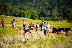 BIB: 
                            <button type="button" onclick="openModal(19128097)" class="btn btn-primary btn-sm float-right btn-popup" data-toggle="modal" data-target=".modal-high-quality">
                        <i class="fas fa-shopping-cart"></i> Add to Cart
                    </button>
                                            <button type="button" onclick="isThisMe(19128097, true)" class="btn btn-success btn-sm float-right btn-popup btn-isme hidden" data-toggle="tooltip" data-placement="bottom" title="นี่คือรูปของคุณใช่ไหม คลิกที่นี่เพื่อเอาเข้าอัลบั้ม">
                        <i class="fas fa-plus"></i> Add to album
                    </button>
                    <button type="button" onclick="isThisMe(19128097, false)" class="btn btn-warning btn-sm float-right btn-popup btn-isnotme hidden">
                        <i class="fas fa-ban"></i> Remove from album
                    </button>