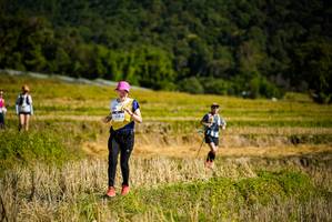 BIB: 1379
                            <button type="button" onclick="openModal(19130346)" class="btn btn-primary btn-sm float-right btn-popup" data-toggle="modal" data-target=".modal-high-quality">
                        <i class="fas fa-shopping-cart"></i> Add to Cart
                    </button>
                                            <button type="button" onclick="isThisMe(19130346, true)" class="btn btn-success btn-sm float-right btn-popup btn-isme hidden" data-toggle="tooltip" data-placement="bottom" title="นี่คือรูปของคุณใช่ไหม คลิกที่นี่เพื่อเอาเข้าอัลบั้ม">
                        <i class="fas fa-plus"></i> Add to album
                    </button>
                    <button type="button" onclick="isThisMe(19130346, false)" class="btn btn-warning btn-sm float-right btn-popup btn-isnotme hidden">
                        <i class="fas fa-ban"></i> Remove from album
                    </button>