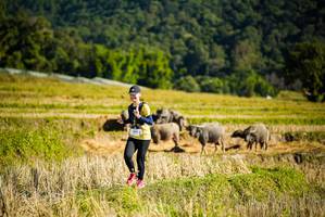 BIB: 
                            <button type="button" onclick="openModal(19128032)" class="btn btn-primary btn-sm float-right btn-popup" data-toggle="modal" data-target=".modal-high-quality">
                        <i class="fas fa-shopping-cart"></i> Add to Cart
                    </button>
                                            <button type="button" onclick="isThisMe(19128032, true)" class="btn btn-success btn-sm float-right btn-popup btn-isme hidden" data-toggle="tooltip" data-placement="bottom" title="นี่คือรูปของคุณใช่ไหม คลิกที่นี่เพื่อเอาเข้าอัลบั้ม">
                        <i class="fas fa-plus"></i> Add to album
                    </button>
                    <button type="button" onclick="isThisMe(19128032, false)" class="btn btn-warning btn-sm float-right btn-popup btn-isnotme hidden">
                        <i class="fas fa-ban"></i> Remove from album
                    </button>