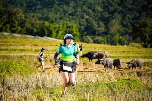 BIB: 
                            <button type="button" onclick="openModal(19127795)" class="btn btn-primary btn-sm float-right btn-popup" data-toggle="modal" data-target=".modal-high-quality">
                        <i class="fas fa-shopping-cart"></i> Add to Cart
                    </button>
                                            <button type="button" onclick="isThisMe(19127795, true)" class="btn btn-success btn-sm float-right btn-popup btn-isme hidden" data-toggle="tooltip" data-placement="bottom" title="นี่คือรูปของคุณใช่ไหม คลิกที่นี่เพื่อเอาเข้าอัลบั้ม">
                        <i class="fas fa-plus"></i> Add to album
                    </button>
                    <button type="button" onclick="isThisMe(19127795, false)" class="btn btn-warning btn-sm float-right btn-popup btn-isnotme hidden">
                        <i class="fas fa-ban"></i> Remove from album
                    </button>