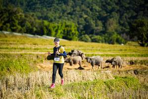 BIB: 
                            <button type="button" onclick="openModal(19128034)" class="btn btn-primary btn-sm float-right btn-popup" data-toggle="modal" data-target=".modal-high-quality">
                        <i class="fas fa-shopping-cart"></i> Add to Cart
                    </button>
                                            <button type="button" onclick="isThisMe(19128034, true)" class="btn btn-success btn-sm float-right btn-popup btn-isme hidden" data-toggle="tooltip" data-placement="bottom" title="นี่คือรูปของคุณใช่ไหม คลิกที่นี่เพื่อเอาเข้าอัลบั้ม">
                        <i class="fas fa-plus"></i> Add to album
                    </button>
                    <button type="button" onclick="isThisMe(19128034, false)" class="btn btn-warning btn-sm float-right btn-popup btn-isnotme hidden">
                        <i class="fas fa-ban"></i> Remove from album
                    </button>