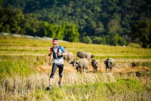 BIB: 
                            <button type="button" onclick="openModal(19127431)" class="btn btn-primary btn-sm float-right btn-popup" data-toggle="modal" data-target=".modal-high-quality">
                        <i class="fas fa-shopping-cart"></i> Add to Cart
                    </button>
                                            <button type="button" onclick="isThisMe(19127431, true)" class="btn btn-success btn-sm float-right btn-popup btn-isme hidden" data-toggle="tooltip" data-placement="bottom" title="นี่คือรูปของคุณใช่ไหม คลิกที่นี่เพื่อเอาเข้าอัลบั้ม">
                        <i class="fas fa-plus"></i> Add to album
                    </button>
                    <button type="button" onclick="isThisMe(19127431, false)" class="btn btn-warning btn-sm float-right btn-popup btn-isnotme hidden">
                        <i class="fas fa-ban"></i> Remove from album
                    </button>