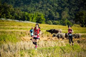 BIB: 
                            <button type="button" onclick="openModal(19127706)" class="btn btn-primary btn-sm float-right btn-popup" data-toggle="modal" data-target=".modal-high-quality">
                        <i class="fas fa-shopping-cart"></i> Add to Cart
                    </button>
                                            <button type="button" onclick="isThisMe(19127706, true)" class="btn btn-success btn-sm float-right btn-popup btn-isme hidden" data-toggle="tooltip" data-placement="bottom" title="นี่คือรูปของคุณใช่ไหม คลิกที่นี่เพื่อเอาเข้าอัลบั้ม">
                        <i class="fas fa-plus"></i> Add to album
                    </button>
                    <button type="button" onclick="isThisMe(19127706, false)" class="btn btn-warning btn-sm float-right btn-popup btn-isnotme hidden">
                        <i class="fas fa-ban"></i> Remove from album
                    </button>