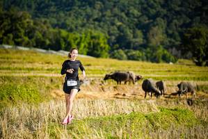 BIB: 1593
                            <button type="button" onclick="openModal(19127847)" class="btn btn-primary btn-sm float-right btn-popup" data-toggle="modal" data-target=".modal-high-quality">
                        <i class="fas fa-shopping-cart"></i> Add to Cart
                    </button>
                                            <button type="button" onclick="isThisMe(19127847, true)" class="btn btn-success btn-sm float-right btn-popup btn-isme hidden" data-toggle="tooltip" data-placement="bottom" title="นี่คือรูปของคุณใช่ไหม คลิกที่นี่เพื่อเอาเข้าอัลบั้ม">
                        <i class="fas fa-plus"></i> Add to album
                    </button>
                    <button type="button" onclick="isThisMe(19127847, false)" class="btn btn-warning btn-sm float-right btn-popup btn-isnotme hidden">
                        <i class="fas fa-ban"></i> Remove from album
                    </button>