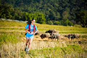 BIB: 
                            <button type="button" onclick="openModal(19127910)" class="btn btn-primary btn-sm float-right btn-popup" data-toggle="modal" data-target=".modal-high-quality">
                        <i class="fas fa-shopping-cart"></i> Add to Cart
                    </button>
                                            <button type="button" onclick="isThisMe(19127910, true)" class="btn btn-success btn-sm float-right btn-popup btn-isme hidden" data-toggle="tooltip" data-placement="bottom" title="นี่คือรูปของคุณใช่ไหม คลิกที่นี่เพื่อเอาเข้าอัลบั้ม">
                        <i class="fas fa-plus"></i> Add to album
                    </button>
                    <button type="button" onclick="isThisMe(19127910, false)" class="btn btn-warning btn-sm float-right btn-popup btn-isnotme hidden">
                        <i class="fas fa-ban"></i> Remove from album
                    </button>