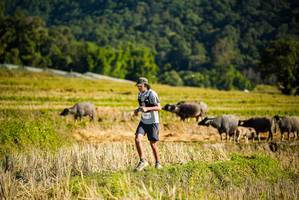 BIB: 
                            <button type="button" onclick="openModal(19127587)" class="btn btn-primary btn-sm float-right btn-popup" data-toggle="modal" data-target=".modal-high-quality">
                        <i class="fas fa-shopping-cart"></i> Add to Cart
                    </button>
                                            <button type="button" onclick="isThisMe(19127587, true)" class="btn btn-success btn-sm float-right btn-popup btn-isme hidden" data-toggle="tooltip" data-placement="bottom" title="นี่คือรูปของคุณใช่ไหม คลิกที่นี่เพื่อเอาเข้าอัลบั้ม">
                        <i class="fas fa-plus"></i> Add to album
                    </button>
                    <button type="button" onclick="isThisMe(19127587, false)" class="btn btn-warning btn-sm float-right btn-popup btn-isnotme hidden">
                        <i class="fas fa-ban"></i> Remove from album
                    </button>