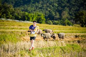 BIB: 1045
                            <button type="button" onclick="openModal(19127424)" class="btn btn-primary btn-sm float-right btn-popup" data-toggle="modal" data-target=".modal-high-quality">
                        <i class="fas fa-shopping-cart"></i> Add to Cart
                    </button>
                                            <button type="button" onclick="isThisMe(19127424, true)" class="btn btn-success btn-sm float-right btn-popup btn-isme hidden" data-toggle="tooltip" data-placement="bottom" title="นี่คือรูปของคุณใช่ไหม คลิกที่นี่เพื่อเอาเข้าอัลบั้ม">
                        <i class="fas fa-plus"></i> Add to album
                    </button>
                    <button type="button" onclick="isThisMe(19127424, false)" class="btn btn-warning btn-sm float-right btn-popup btn-isnotme hidden">
                        <i class="fas fa-ban"></i> Remove from album
                    </button>