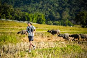 BIB: 
                            <button type="button" onclick="openModal(19127586)" class="btn btn-primary btn-sm float-right btn-popup" data-toggle="modal" data-target=".modal-high-quality">
                        <i class="fas fa-shopping-cart"></i> Add to Cart
                    </button>
                                            <button type="button" onclick="isThisMe(19127586, true)" class="btn btn-success btn-sm float-right btn-popup btn-isme hidden" data-toggle="tooltip" data-placement="bottom" title="นี่คือรูปของคุณใช่ไหม คลิกที่นี่เพื่อเอาเข้าอัลบั้ม">
                        <i class="fas fa-plus"></i> Add to album
                    </button>
                    <button type="button" onclick="isThisMe(19127586, false)" class="btn btn-warning btn-sm float-right btn-popup btn-isnotme hidden">
                        <i class="fas fa-ban"></i> Remove from album
                    </button>