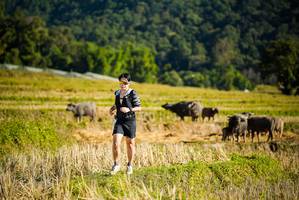 BIB: 
                            <button type="button" onclick="openModal(19127553)" class="btn btn-primary btn-sm float-right btn-popup" data-toggle="modal" data-target=".modal-high-quality">
                        <i class="fas fa-shopping-cart"></i> Add to Cart
                    </button>
                                            <button type="button" onclick="isThisMe(19127553, true)" class="btn btn-success btn-sm float-right btn-popup btn-isme hidden" data-toggle="tooltip" data-placement="bottom" title="นี่คือรูปของคุณใช่ไหม คลิกที่นี่เพื่อเอาเข้าอัลบั้ม">
                        <i class="fas fa-plus"></i> Add to album
                    </button>
                    <button type="button" onclick="isThisMe(19127553, false)" class="btn btn-warning btn-sm float-right btn-popup btn-isnotme hidden">
                        <i class="fas fa-ban"></i> Remove from album
                    </button>