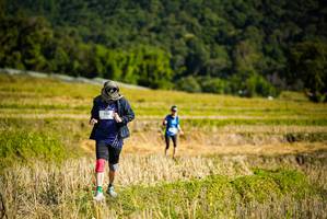 BIB: 1150
                            <button type="button" onclick="openModal(19129917)" class="btn btn-primary btn-sm float-right btn-popup" data-toggle="modal" data-target=".modal-high-quality">
                        <i class="fas fa-shopping-cart"></i> Add to Cart
                    </button>
                                            <button type="button" onclick="isThisMe(19129917, true)" class="btn btn-success btn-sm float-right btn-popup btn-isme hidden" data-toggle="tooltip" data-placement="bottom" title="นี่คือรูปของคุณใช่ไหม คลิกที่นี่เพื่อเอาเข้าอัลบั้ม">
                        <i class="fas fa-plus"></i> Add to album
                    </button>
                    <button type="button" onclick="isThisMe(19129917, false)" class="btn btn-warning btn-sm float-right btn-popup btn-isnotme hidden">
                        <i class="fas fa-ban"></i> Remove from album
                    </button>