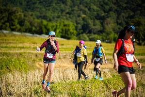 BIB: 153
                            <button type="button" onclick="openModal(19129530)" class="btn btn-primary btn-sm float-right btn-popup" data-toggle="modal" data-target=".modal-high-quality">
                        <i class="fas fa-shopping-cart"></i> Add to Cart
                    </button>
                                            <button type="button" onclick="isThisMe(19129530, true)" class="btn btn-success btn-sm float-right btn-popup btn-isme hidden" data-toggle="tooltip" data-placement="bottom" title="นี่คือรูปของคุณใช่ไหม คลิกที่นี่เพื่อเอาเข้าอัลบั้ม">
                        <i class="fas fa-plus"></i> Add to album
                    </button>
                    <button type="button" onclick="isThisMe(19129530, false)" class="btn btn-warning btn-sm float-right btn-popup btn-isnotme hidden">
                        <i class="fas fa-ban"></i> Remove from album
                    </button>