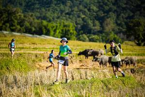 BIB: 
                            <button type="button" onclick="openModal(19127786)" class="btn btn-primary btn-sm float-right btn-popup" data-toggle="modal" data-target=".modal-high-quality">
                        <i class="fas fa-shopping-cart"></i> Add to Cart
                    </button>
                                            <button type="button" onclick="isThisMe(19127786, true)" class="btn btn-success btn-sm float-right btn-popup btn-isme hidden" data-toggle="tooltip" data-placement="bottom" title="นี่คือรูปของคุณใช่ไหม คลิกที่นี่เพื่อเอาเข้าอัลบั้ม">
                        <i class="fas fa-plus"></i> Add to album
                    </button>
                    <button type="button" onclick="isThisMe(19127786, false)" class="btn btn-warning btn-sm float-right btn-popup btn-isnotme hidden">
                        <i class="fas fa-ban"></i> Remove from album
                    </button>