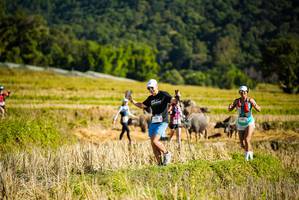 BIB: 
                            <button type="button" onclick="openModal(19128049)" class="btn btn-primary btn-sm float-right btn-popup" data-toggle="modal" data-target=".modal-high-quality">
                        <i class="fas fa-shopping-cart"></i> Add to Cart
                    </button>
                                            <button type="button" onclick="isThisMe(19128049, true)" class="btn btn-success btn-sm float-right btn-popup btn-isme hidden" data-toggle="tooltip" data-placement="bottom" title="นี่คือรูปของคุณใช่ไหม คลิกที่นี่เพื่อเอาเข้าอัลบั้ม">
                        <i class="fas fa-plus"></i> Add to album
                    </button>
                    <button type="button" onclick="isThisMe(19128049, false)" class="btn btn-warning btn-sm float-right btn-popup btn-isnotme hidden">
                        <i class="fas fa-ban"></i> Remove from album
                    </button>