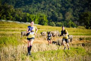 BIB: 1516
                            <button type="button" onclick="openModal(19127478)" class="btn btn-primary btn-sm float-right btn-popup" data-toggle="modal" data-target=".modal-high-quality">
                        <i class="fas fa-shopping-cart"></i> Add to Cart
                    </button>
                                            <button type="button" onclick="isThisMe(19127478, true)" class="btn btn-success btn-sm float-right btn-popup btn-isme hidden" data-toggle="tooltip" data-placement="bottom" title="นี่คือรูปของคุณใช่ไหม คลิกที่นี่เพื่อเอาเข้าอัลบั้ม">
                        <i class="fas fa-plus"></i> Add to album
                    </button>
                    <button type="button" onclick="isThisMe(19127478, false)" class="btn btn-warning btn-sm float-right btn-popup btn-isnotme hidden">
                        <i class="fas fa-ban"></i> Remove from album
                    </button>