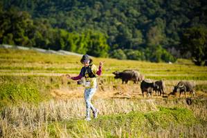 BIB: 
                            <button type="button" onclick="openModal(19127822)" class="btn btn-primary btn-sm float-right btn-popup" data-toggle="modal" data-target=".modal-high-quality">
                        <i class="fas fa-shopping-cart"></i> Add to Cart
                    </button>
                                            <button type="button" onclick="isThisMe(19127822, true)" class="btn btn-success btn-sm float-right btn-popup btn-isme hidden" data-toggle="tooltip" data-placement="bottom" title="นี่คือรูปของคุณใช่ไหม คลิกที่นี่เพื่อเอาเข้าอัลบั้ม">
                        <i class="fas fa-plus"></i> Add to album
                    </button>
                    <button type="button" onclick="isThisMe(19127822, false)" class="btn btn-warning btn-sm float-right btn-popup btn-isnotme hidden">
                        <i class="fas fa-ban"></i> Remove from album
                    </button>