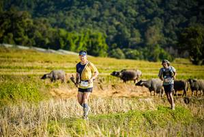 BIB: 
                            <button type="button" onclick="openModal(19127578)" class="btn btn-primary btn-sm float-right btn-popup" data-toggle="modal" data-target=".modal-high-quality">
                        <i class="fas fa-shopping-cart"></i> Add to Cart
                    </button>
                                            <button type="button" onclick="isThisMe(19127578, true)" class="btn btn-success btn-sm float-right btn-popup btn-isme hidden" data-toggle="tooltip" data-placement="bottom" title="นี่คือรูปของคุณใช่ไหม คลิกที่นี่เพื่อเอาเข้าอัลบั้ม">
                        <i class="fas fa-plus"></i> Add to album
                    </button>
                    <button type="button" onclick="isThisMe(19127578, false)" class="btn btn-warning btn-sm float-right btn-popup btn-isnotme hidden">
                        <i class="fas fa-ban"></i> Remove from album
                    </button>