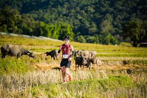 BIB: 
                            <button type="button" onclick="openModal(19127381)" class="btn btn-primary btn-sm float-right btn-popup" data-toggle="modal" data-target=".modal-high-quality">
                        <i class="fas fa-shopping-cart"></i> Add to Cart
                    </button>
                                            <button type="button" onclick="isThisMe(19127381, true)" class="btn btn-success btn-sm float-right btn-popup btn-isme hidden" data-toggle="tooltip" data-placement="bottom" title="นี่คือรูปของคุณใช่ไหม คลิกที่นี่เพื่อเอาเข้าอัลบั้ม">
                        <i class="fas fa-plus"></i> Add to album
                    </button>
                    <button type="button" onclick="isThisMe(19127381, false)" class="btn btn-warning btn-sm float-right btn-popup btn-isnotme hidden">
                        <i class="fas fa-ban"></i> Remove from album
                    </button>