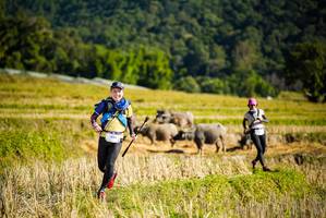 BIB: 1041
                            <button type="button" onclick="openModal(19127954)" class="btn btn-primary btn-sm float-right btn-popup" data-toggle="modal" data-target=".modal-high-quality">
                        <i class="fas fa-shopping-cart"></i> Add to Cart
                    </button>
                                            <button type="button" onclick="isThisMe(19127954, true)" class="btn btn-success btn-sm float-right btn-popup btn-isme hidden" data-toggle="tooltip" data-placement="bottom" title="นี่คือรูปของคุณใช่ไหม คลิกที่นี่เพื่อเอาเข้าอัลบั้ม">
                        <i class="fas fa-plus"></i> Add to album
                    </button>
                    <button type="button" onclick="isThisMe(19127954, false)" class="btn btn-warning btn-sm float-right btn-popup btn-isnotme hidden">
                        <i class="fas fa-ban"></i> Remove from album
                    </button>