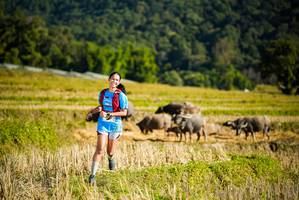 BIB: 
                            <button type="button" onclick="openModal(19127906)" class="btn btn-primary btn-sm float-right btn-popup" data-toggle="modal" data-target=".modal-high-quality">
                        <i class="fas fa-shopping-cart"></i> Add to Cart
                    </button>
                                            <button type="button" onclick="isThisMe(19127906, true)" class="btn btn-success btn-sm float-right btn-popup btn-isme hidden" data-toggle="tooltip" data-placement="bottom" title="นี่คือรูปของคุณใช่ไหม คลิกที่นี่เพื่อเอาเข้าอัลบั้ม">
                        <i class="fas fa-plus"></i> Add to album
                    </button>
                    <button type="button" onclick="isThisMe(19127906, false)" class="btn btn-warning btn-sm float-right btn-popup btn-isnotme hidden">
                        <i class="fas fa-ban"></i> Remove from album
                    </button>