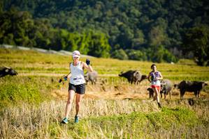 BIB: 
                            <button type="button" onclick="openModal(19127532)" class="btn btn-primary btn-sm float-right btn-popup" data-toggle="modal" data-target=".modal-high-quality">
                        <i class="fas fa-shopping-cart"></i> Add to Cart
                    </button>
                                            <button type="button" onclick="isThisMe(19127532, true)" class="btn btn-success btn-sm float-right btn-popup btn-isme hidden" data-toggle="tooltip" data-placement="bottom" title="นี่คือรูปของคุณใช่ไหม คลิกที่นี่เพื่อเอาเข้าอัลบั้ม">
                        <i class="fas fa-plus"></i> Add to album
                    </button>
                    <button type="button" onclick="isThisMe(19127532, false)" class="btn btn-warning btn-sm float-right btn-popup btn-isnotme hidden">
                        <i class="fas fa-ban"></i> Remove from album
                    </button>