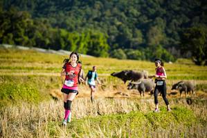 BIB: 1472
                            <button type="button" onclick="openModal(19127707)" class="btn btn-primary btn-sm float-right btn-popup" data-toggle="modal" data-target=".modal-high-quality">
                        <i class="fas fa-shopping-cart"></i> Add to Cart
                    </button>
                                            <button type="button" onclick="isThisMe(19127707, true)" class="btn btn-success btn-sm float-right btn-popup btn-isme hidden" data-toggle="tooltip" data-placement="bottom" title="นี่คือรูปของคุณใช่ไหม คลิกที่นี่เพื่อเอาเข้าอัลบั้ม">
                        <i class="fas fa-plus"></i> Add to album
                    </button>
                    <button type="button" onclick="isThisMe(19127707, false)" class="btn btn-warning btn-sm float-right btn-popup btn-isnotme hidden">
                        <i class="fas fa-ban"></i> Remove from album
                    </button>