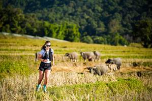 BIB: 
                            <button type="button" onclick="openModal(19127498)" class="btn btn-primary btn-sm float-right btn-popup" data-toggle="modal" data-target=".modal-high-quality">
                        <i class="fas fa-shopping-cart"></i> Add to Cart
                    </button>
                                            <button type="button" onclick="isThisMe(19127498, true)" class="btn btn-success btn-sm float-right btn-popup btn-isme hidden" data-toggle="tooltip" data-placement="bottom" title="นี่คือรูปของคุณใช่ไหม คลิกที่นี่เพื่อเอาเข้าอัลบั้ม">
                        <i class="fas fa-plus"></i> Add to album
                    </button>
                    <button type="button" onclick="isThisMe(19127498, false)" class="btn btn-warning btn-sm float-right btn-popup btn-isnotme hidden">
                        <i class="fas fa-ban"></i> Remove from album
                    </button>