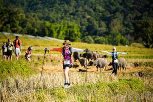 BIB: 
                            <button type="button" onclick="openModal(19128057)" class="btn btn-primary btn-sm float-right btn-popup" data-toggle="modal" data-target=".modal-high-quality">
                        <i class="fas fa-shopping-cart"></i> Add to Cart
                    </button>
                                            <button type="button" onclick="isThisMe(19128057, true)" class="btn btn-success btn-sm float-right btn-popup btn-isme hidden" data-toggle="tooltip" data-placement="bottom" title="นี่คือรูปของคุณใช่ไหม คลิกที่นี่เพื่อเอาเข้าอัลบั้ม">
                        <i class="fas fa-plus"></i> Add to album
                    </button>
                    <button type="button" onclick="isThisMe(19128057, false)" class="btn btn-warning btn-sm float-right btn-popup btn-isnotme hidden">
                        <i class="fas fa-ban"></i> Remove from album
                    </button>