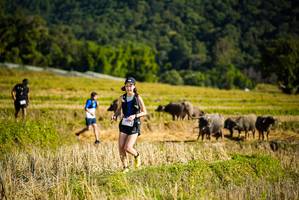 BIB: 
                            <button type="button" onclick="openModal(19128244)" class="btn btn-primary btn-sm float-right btn-popup" data-toggle="modal" data-target=".modal-high-quality">
                        <i class="fas fa-shopping-cart"></i> Add to Cart
                    </button>
                                            <button type="button" onclick="isThisMe(19128244, true)" class="btn btn-success btn-sm float-right btn-popup btn-isme hidden" data-toggle="tooltip" data-placement="bottom" title="นี่คือรูปของคุณใช่ไหม คลิกที่นี่เพื่อเอาเข้าอัลบั้ม">
                        <i class="fas fa-plus"></i> Add to album
                    </button>
                    <button type="button" onclick="isThisMe(19128244, false)" class="btn btn-warning btn-sm float-right btn-popup btn-isnotme hidden">
                        <i class="fas fa-ban"></i> Remove from album
                    </button>