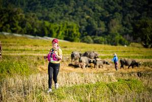 BIB: 
                            <button type="button" onclick="openModal(19128308)" class="btn btn-primary btn-sm float-right btn-popup" data-toggle="modal" data-target=".modal-high-quality">
                        <i class="fas fa-shopping-cart"></i> Add to Cart
                    </button>
                                            <button type="button" onclick="isThisMe(19128308, true)" class="btn btn-success btn-sm float-right btn-popup btn-isme hidden" data-toggle="tooltip" data-placement="bottom" title="นี่คือรูปของคุณใช่ไหม คลิกที่นี่เพื่อเอาเข้าอัลบั้ม">
                        <i class="fas fa-plus"></i> Add to album
                    </button>
                    <button type="button" onclick="isThisMe(19128308, false)" class="btn btn-warning btn-sm float-right btn-popup btn-isnotme hidden">
                        <i class="fas fa-ban"></i> Remove from album
                    </button>