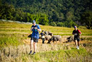 BIB: 
                            <button type="button" onclick="openModal(19128017)" class="btn btn-primary btn-sm float-right btn-popup" data-toggle="modal" data-target=".modal-high-quality">
                        <i class="fas fa-shopping-cart"></i> Add to Cart
                    </button>
                                            <button type="button" onclick="isThisMe(19128017, true)" class="btn btn-success btn-sm float-right btn-popup btn-isme hidden" data-toggle="tooltip" data-placement="bottom" title="นี่คือรูปของคุณใช่ไหม คลิกที่นี่เพื่อเอาเข้าอัลบั้ม">
                        <i class="fas fa-plus"></i> Add to album
                    </button>
                    <button type="button" onclick="isThisMe(19128017, false)" class="btn btn-warning btn-sm float-right btn-popup btn-isnotme hidden">
                        <i class="fas fa-ban"></i> Remove from album
                    </button>