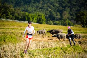 BIB: 
                            <button type="button" onclick="openModal(19127662)" class="btn btn-primary btn-sm float-right btn-popup" data-toggle="modal" data-target=".modal-high-quality">
                        <i class="fas fa-shopping-cart"></i> Add to Cart
                    </button>
                                            <button type="button" onclick="isThisMe(19127662, true)" class="btn btn-success btn-sm float-right btn-popup btn-isme hidden" data-toggle="tooltip" data-placement="bottom" title="นี่คือรูปของคุณใช่ไหม คลิกที่นี่เพื่อเอาเข้าอัลบั้ม">
                        <i class="fas fa-plus"></i> Add to album
                    </button>
                    <button type="button" onclick="isThisMe(19127662, false)" class="btn btn-warning btn-sm float-right btn-popup btn-isnotme hidden">
                        <i class="fas fa-ban"></i> Remove from album
                    </button>