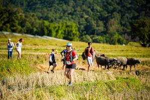 BIB: 
                            <button type="button" onclick="openModal(19128072)" class="btn btn-primary btn-sm float-right btn-popup" data-toggle="modal" data-target=".modal-high-quality">
                        <i class="fas fa-shopping-cart"></i> Add to Cart
                    </button>
                                            <button type="button" onclick="isThisMe(19128072, true)" class="btn btn-success btn-sm float-right btn-popup btn-isme hidden" data-toggle="tooltip" data-placement="bottom" title="นี่คือรูปของคุณใช่ไหม คลิกที่นี่เพื่อเอาเข้าอัลบั้ม">
                        <i class="fas fa-plus"></i> Add to album
                    </button>
                    <button type="button" onclick="isThisMe(19128072, false)" class="btn btn-warning btn-sm float-right btn-popup btn-isnotme hidden">
                        <i class="fas fa-ban"></i> Remove from album
                    </button>