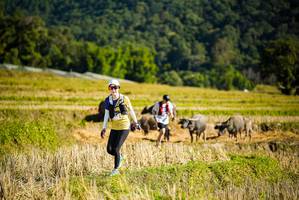 BIB: 
                            <button type="button" onclick="openModal(19127913)" class="btn btn-primary btn-sm float-right btn-popup" data-toggle="modal" data-target=".modal-high-quality">
                        <i class="fas fa-shopping-cart"></i> Add to Cart
                    </button>
                                            <button type="button" onclick="isThisMe(19127913, true)" class="btn btn-success btn-sm float-right btn-popup btn-isme hidden" data-toggle="tooltip" data-placement="bottom" title="นี่คือรูปของคุณใช่ไหม คลิกที่นี่เพื่อเอาเข้าอัลบั้ม">
                        <i class="fas fa-plus"></i> Add to album
                    </button>
                    <button type="button" onclick="isThisMe(19127913, false)" class="btn btn-warning btn-sm float-right btn-popup btn-isnotme hidden">
                        <i class="fas fa-ban"></i> Remove from album
                    </button>