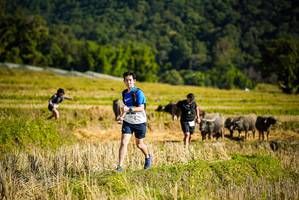 BIB: , 
                            <button type="button" onclick="openModal(19128250)" class="btn btn-primary btn-sm float-right btn-popup" data-toggle="modal" data-target=".modal-high-quality">
                        <i class="fas fa-shopping-cart"></i> Add to Cart
                    </button>
                                            <button type="button" onclick="isThisMe(19128250, true)" class="btn btn-success btn-sm float-right btn-popup btn-isme hidden" data-toggle="tooltip" data-placement="bottom" title="นี่คือรูปของคุณใช่ไหม คลิกที่นี่เพื่อเอาเข้าอัลบั้ม">
                        <i class="fas fa-plus"></i> Add to album
                    </button>
                    <button type="button" onclick="isThisMe(19128250, false)" class="btn btn-warning btn-sm float-right btn-popup btn-isnotme hidden">
                        <i class="fas fa-ban"></i> Remove from album
                    </button>